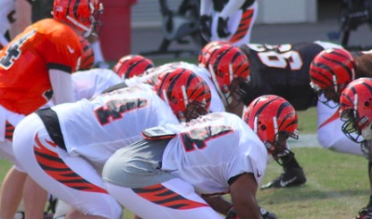 Cincinnati Bengals